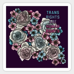 Trans Rights are Human Rights Magnet